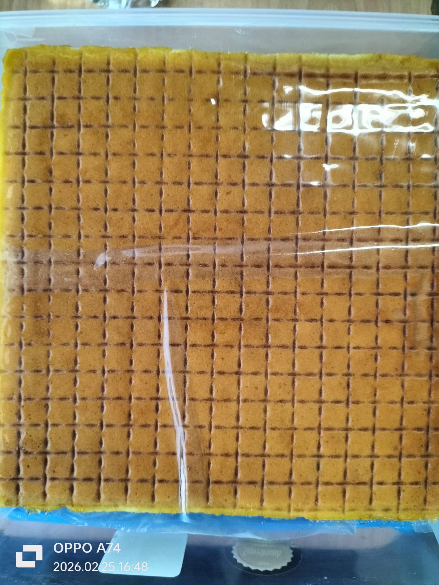 Famous Batam Homemade Kueh Lapis - Transparent Box packaging - Freshly Baked Made to Order weekly