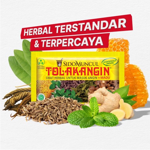 WHOLESALE Tolak Angin Cair 1 Carton 30 Box | 1 box 12 sachets | Original Madu